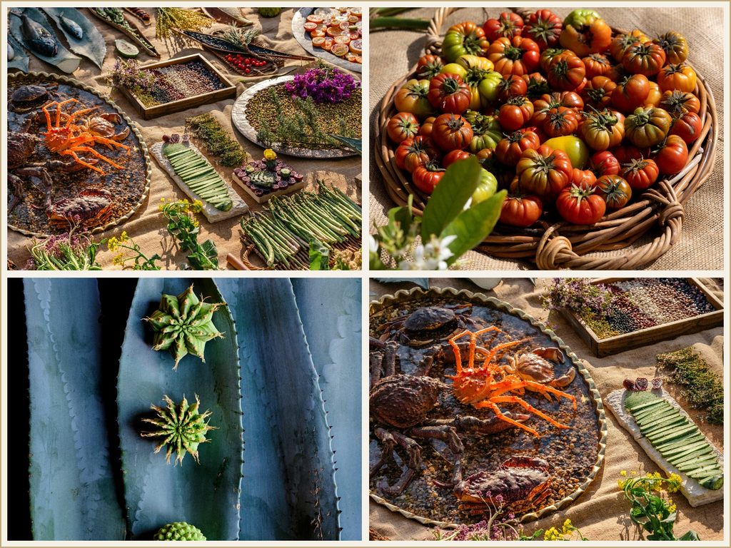 Collage of ingredients and produce associated with Noma’s 2026 Los Angeles residency, including seafood, heirloom tomatoes, and botanical ingredients.