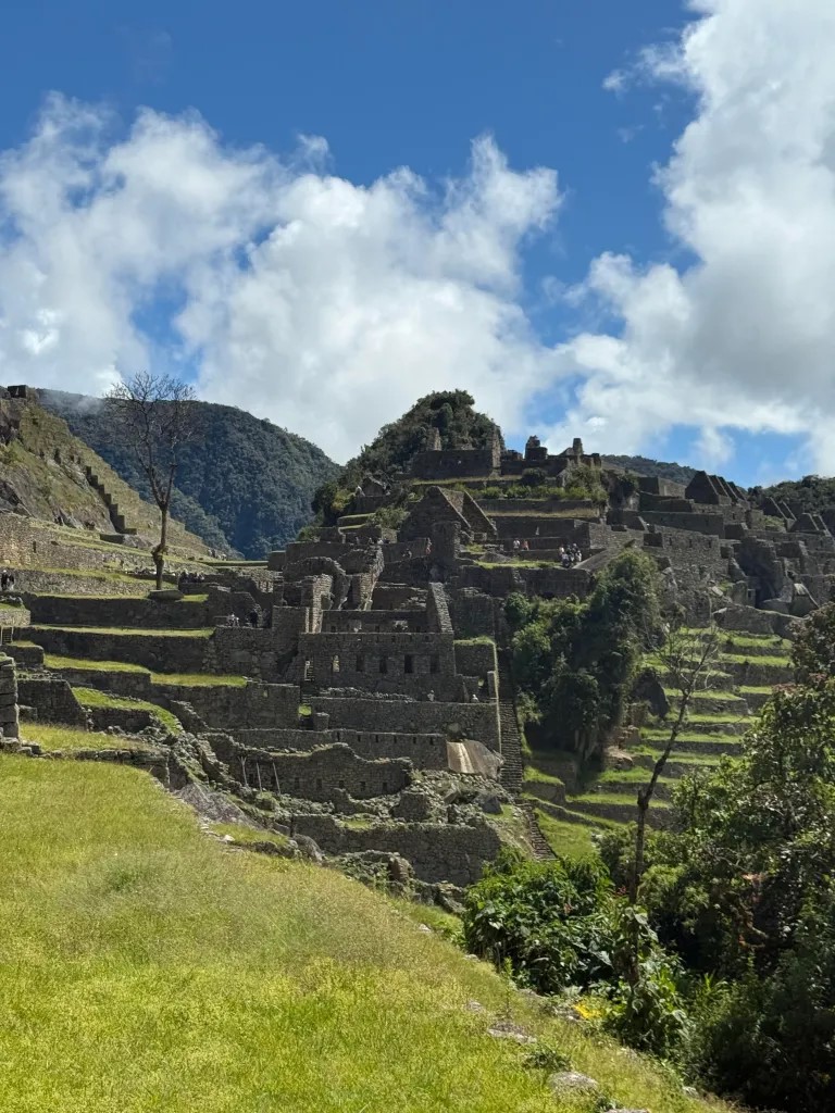 Agricultural terraces and stone ruins at Machu Picchu beneath a blue sky