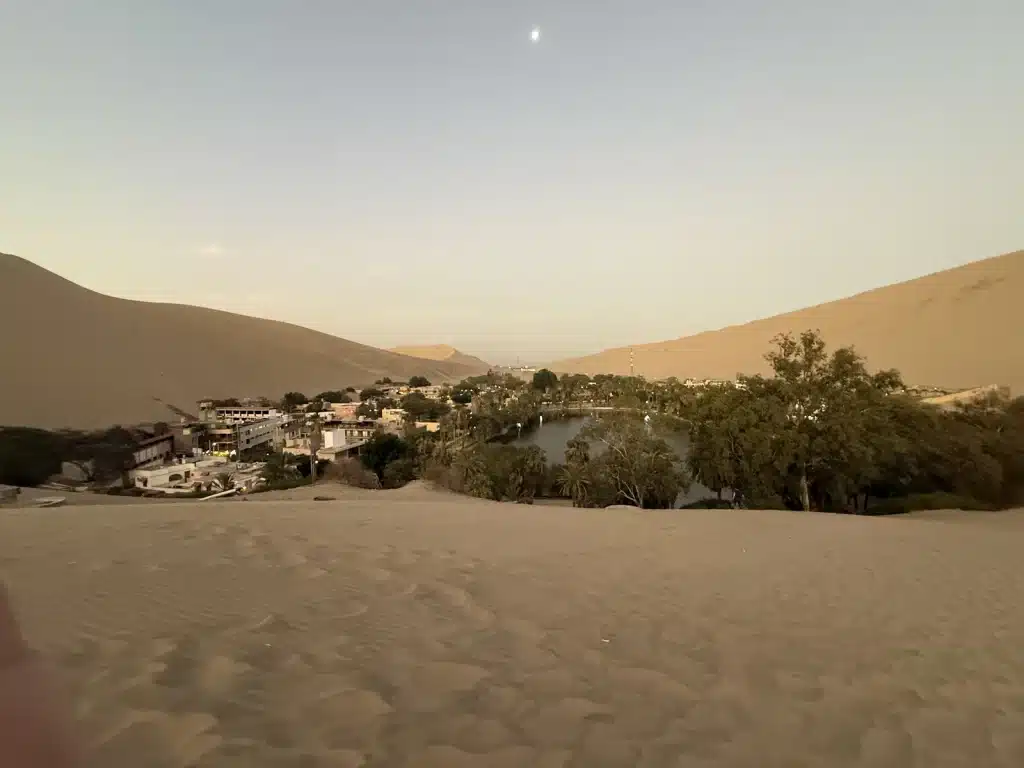 Richard Jarocki Buildings and green palms in an oasis surrounded by high sand dunes in Peru.