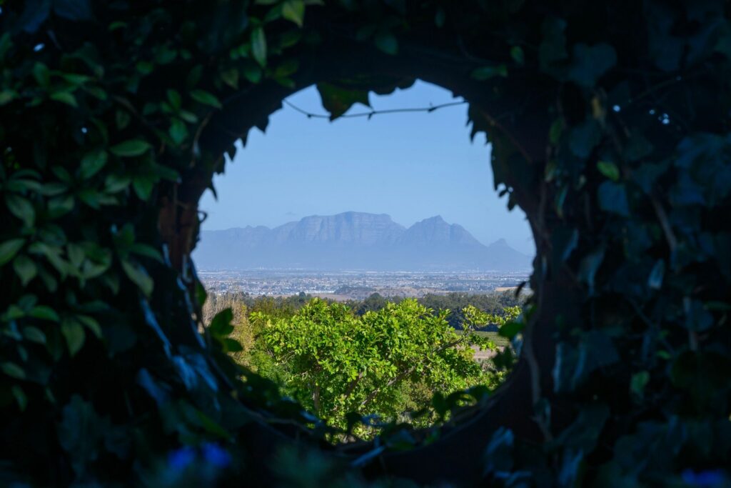 Framed view of Table Mountain and Cape Town skyline through circular ivy-covered garden window