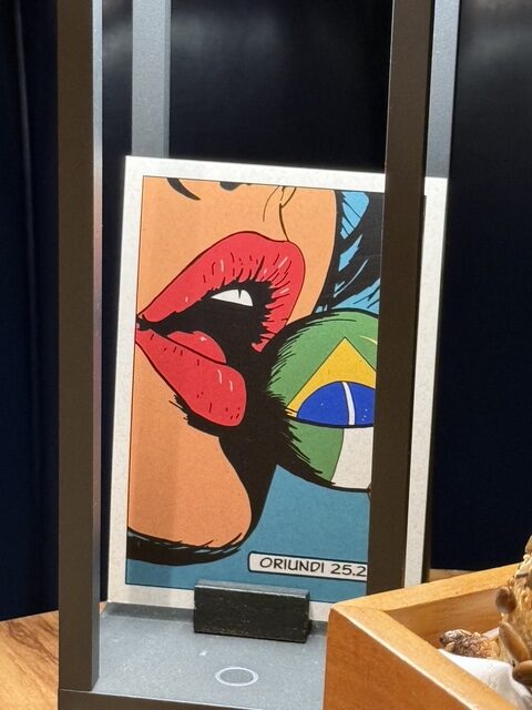 Pop-art Oriundi 25.2 tasting-menu artwork displayed at Evvai São Paulo