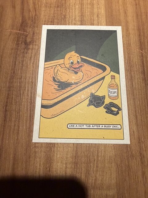 Illustrated duck and tucupi tasting-menu card presented at Evvai São Paulo